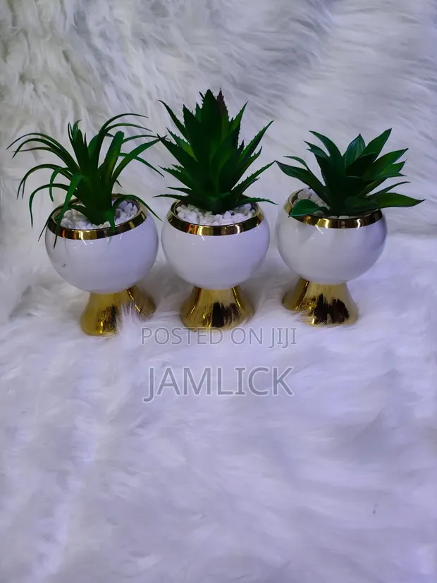Kipodozi cha Mmea wa Succulent wa Keramik - 1