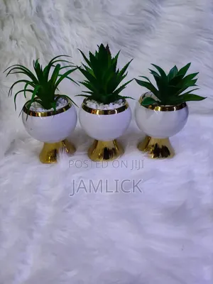 Kipodozi cha Mmea wa Succulent wa Keramik