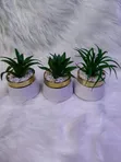 Kipodozi cha Mmea wa Succulent wa Keramik - 2
