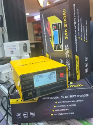 Bolaimei BLM-866/BLM-866C 12V/24V Digital LCD Battery Charger