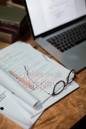 Maandalizi ya Hati za Zabuni & Usaidizi wa E-GP na Diamond Spear ICT Solutions