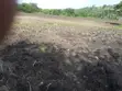 Ekari 2 za Ardhi ya Makazi Zinauzwa Kiserian - 5