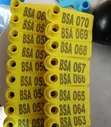 Vitambulisho vya Masikio vya SLIM kwa Nguruwe, Mbuzi, Kondoo - 3