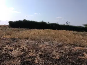 Land for Sale in Meru - Near Isiolo Airport, Tigania West