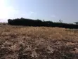 Land for Sale in Meru - Near Isiolo Airport, Tigania West - 1