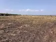 Land for Sale in Meru - Near Isiolo Airport, Tigania West - 3
