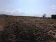 Land for Sale in Meru - Near Isiolo Airport, Tigania West - 5