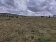 600 Acre Mixed-Use Land for Sale in Magadi - 2