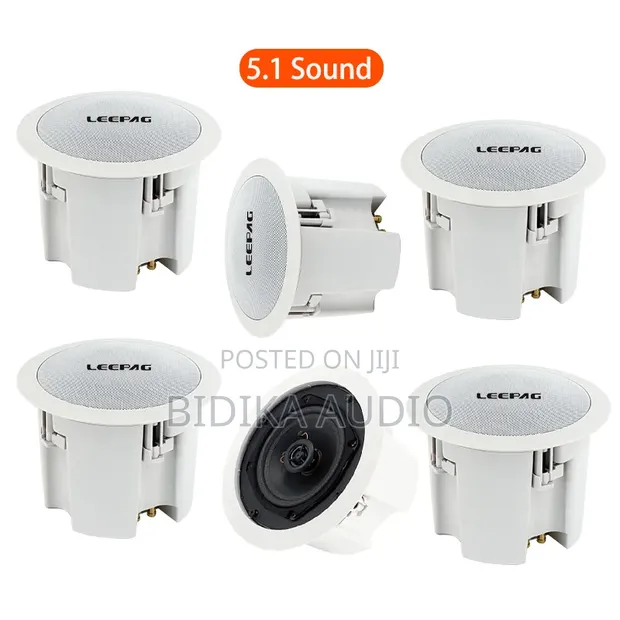 Blue Ceiling Speaker for Home, Hotel, Shop (30-50W) - 1