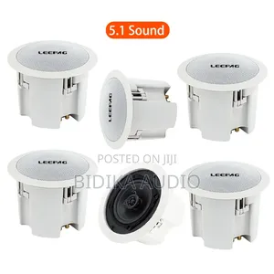 Blue Ceiling Speaker for Home, Hotel, Shop (30-50W)