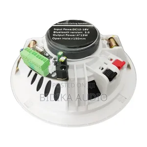 6-Inch 15W Active Indoor Audio Ceiling Speaker Waterproof