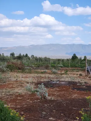 Vipande vya 1/4 Acre kwa Uuzaji Ngong-Kimuka (Maroroi)