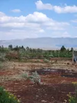 Vipande vya 1/4 Acre kwa Uuzaji Ngong-Kimuka (Maroroi) - 1