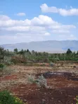 Vipande vya 1/4 Acre kwa Uuzaji Ngong-Kimuka (Maroroi) - 2