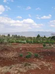 Vipande vya 1/4 Acre kwa Uuzaji Ngong-Kimuka (Maroroi) - 3