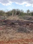 Vipande vya 1/4 Acre kwa Uuzaji Ngong-Kimuka (Maroroi) - 4