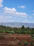 Vipande vya 1/4 Acre kwa Uuzaji Ngong-Kimuka (Maroroi) - 5
