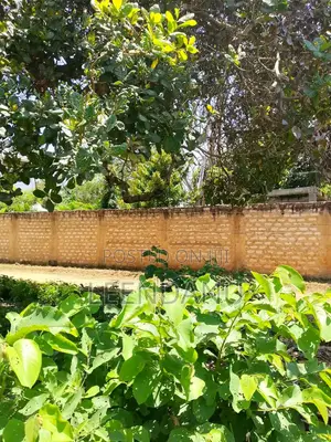 1/8 Acre Plot for Sale in Mvindeni, Ukunda
