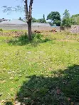 1/8 Acre Plot for Sale in Mvindeni, Ukunda - 2