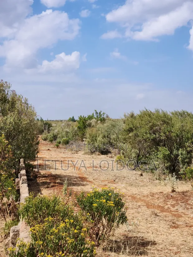 2 Acres Land for Sale in Ngong-Kimuka (Kuraru Road) - 1