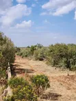 2 Acres Land for Sale in Ngong-Kimuka (Kuraru Road) - 1