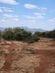 2 Acres Land for Sale in Ngong-Kimuka (Kuraru Road) - 4