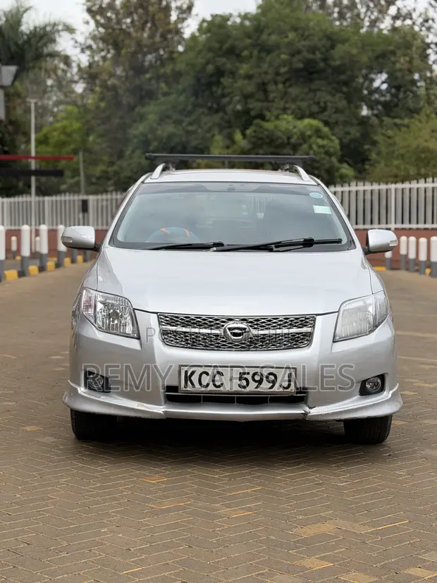 Toyota Corolla Fielder 2008 Silver - 1