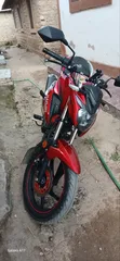 Haojin HJ200-15A 2024 Red - 3