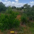 1 Acre Plot for Sale in Baolala, Near Weru Technical College - 1