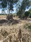 2 Acres Agricultural Land for Sale in Ndaragwa, Nyandarua - 4