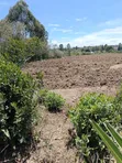 2 Acres Agricultural Land for Sale in Ndaragwa, Nyandarua - 5