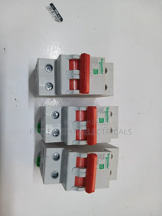 Schneider Double Pole 100A Circuit Breaker - 1