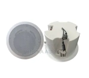 5-Inch 30W Bluetooth USB Coaxial Speaker