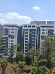 Newly Built 3-Bedroom + DSQ Apartments for Rent in Kileleshwa - 1
