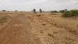 Viwanja 10 vya 50x100 Vinauzwa Murera - 2