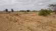 Viwanja 10 vya 50x100 Vinauzwa Murera - 3