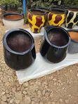 Kopo za Mimea ya Nyoka - Nyeusi, Nyeupe, Dhahabu - 2