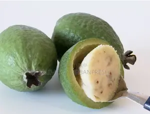 Mti Mdogo wa Zaituni ya Mananasi