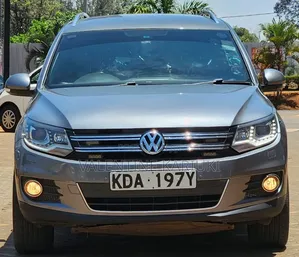 Volkswagen Tiguan 2015 Gray