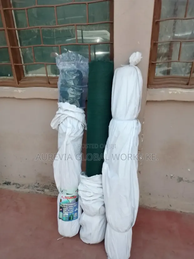 Scaffold Safety Net - 1