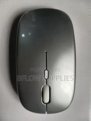 Silver Ergonomic Wireless Mouse