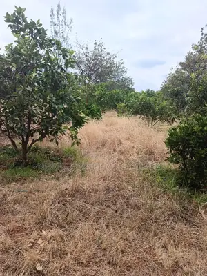 12.88 Acre Farmstead for Sale in Matuu, Machakos County