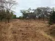 12.88 Acre Farmstead for Sale in Matuu, Machakos County - 5