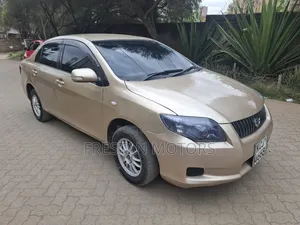 Toyota Axio 2009 Gold