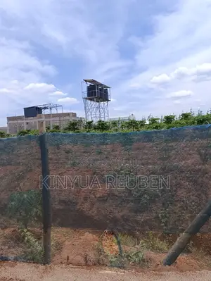 Plots for Sale in Makuyu, Mananja - KSh 480K Cash