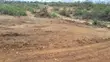 Plots for Sale in Makuyu, Mananja - KSh 480K Cash - 3