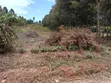 50x100 Plot for Sale in Kikuyu Lusigetti - 1