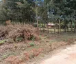 50x100 Plot for Sale in Kikuyu Lusigetti - 2