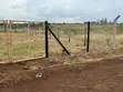 100x100 Plot inauzwa Kiambu - 2
