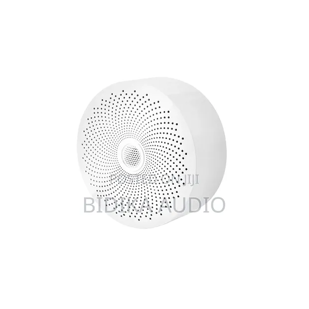Ceiling Installation Bluetooth Speaker 10W - 1